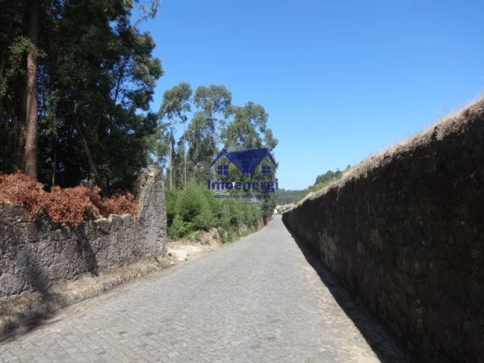 Terreno Agricola ou Rústico para Venda em Gião Foto 1