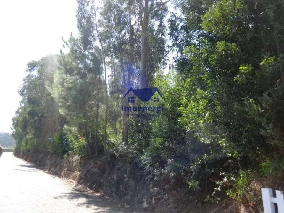 Terreno Agricola ou Rústico para Venda em Gião Foto 10