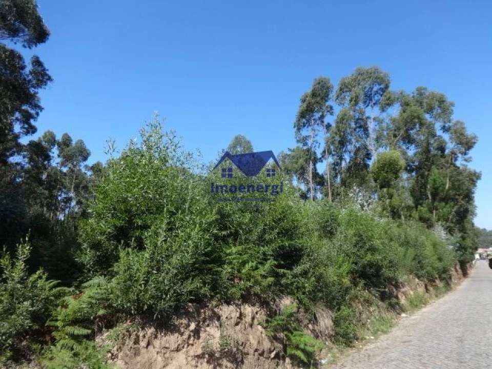 Terreno Agricola ou Rústico para Venda em Gião Foto 5