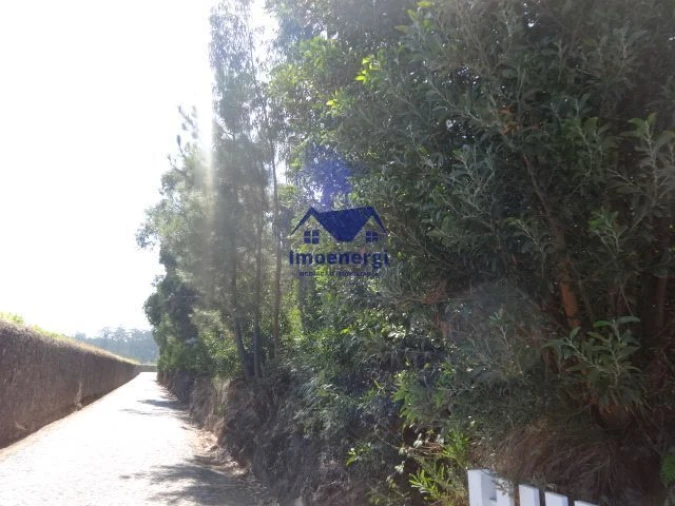 Terreno Agricola ou Rústico para Venda em Gião Foto 11