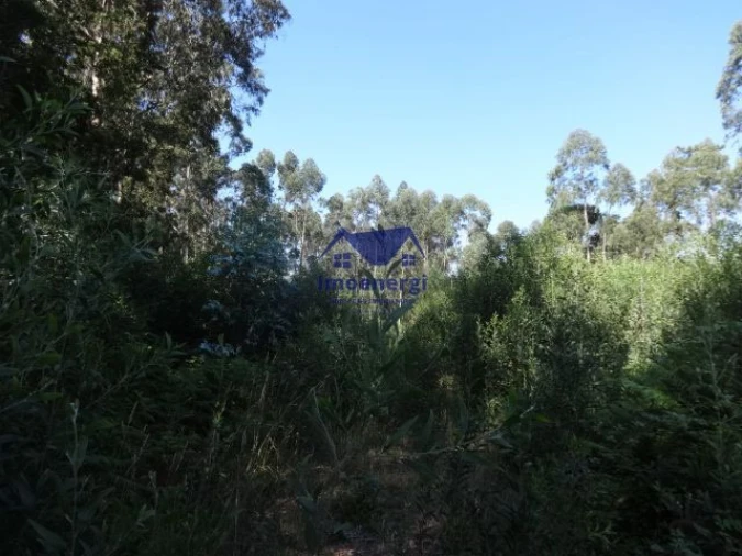 Terreno Agricola ou Rústico para Venda em Gião Foto 3