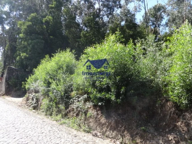 Terreno Agricola ou Rústico para Venda em Gião Foto 8