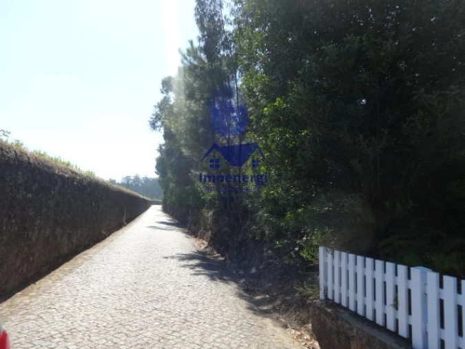 Terreno Agricola ou Rústico para Venda em Gião Foto 9