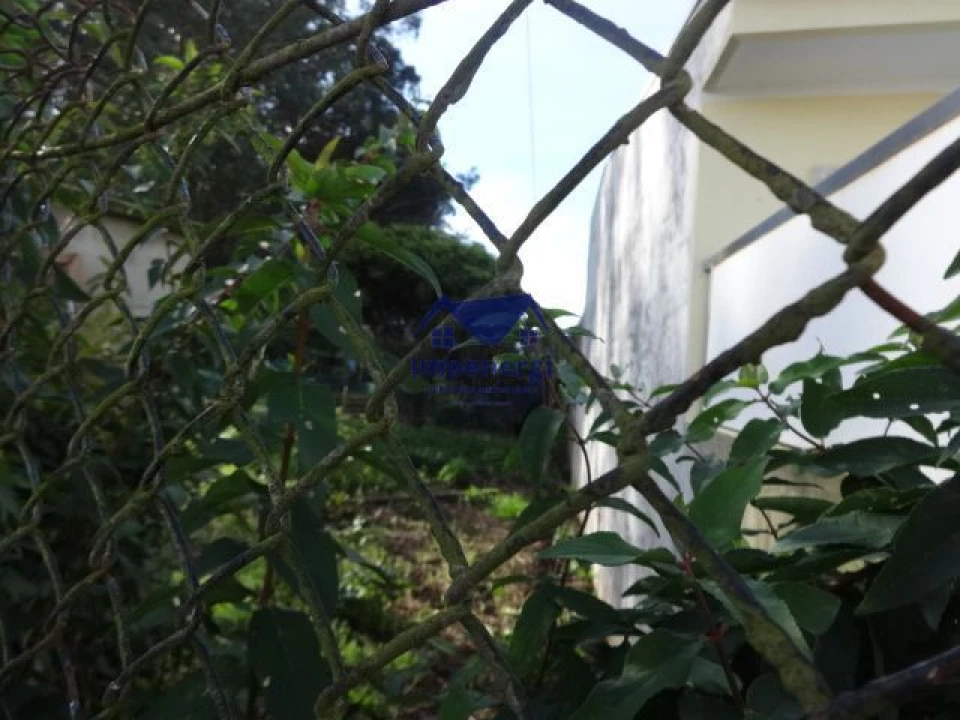 Terreno para Venda em Fajozes Foto 6