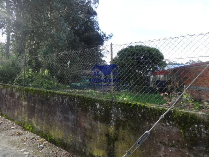 Terreno para Venda em Fajozes Foto 4