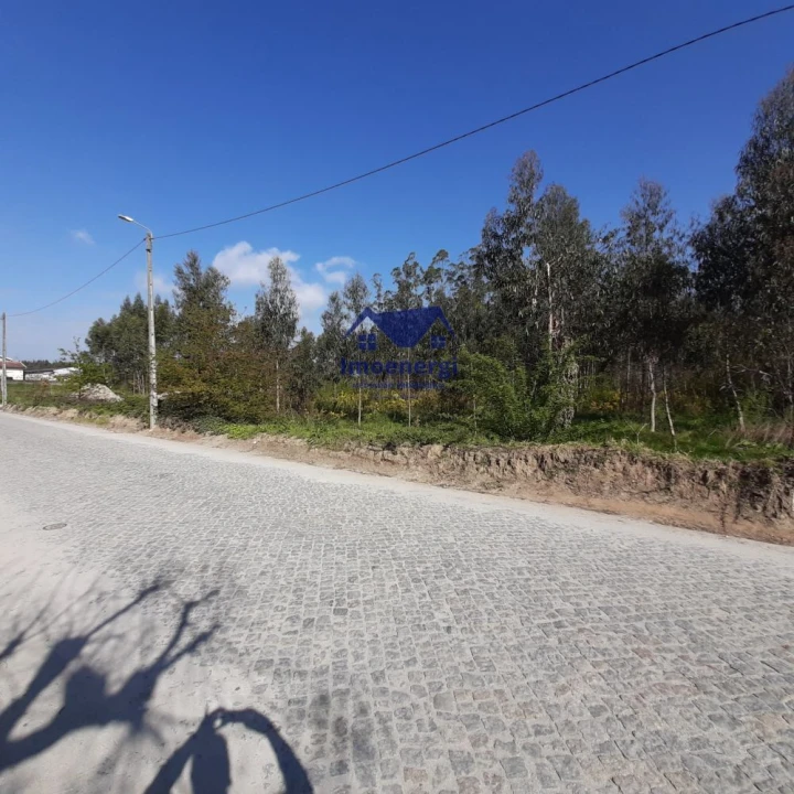 Terreno para Venda em Arvore Foto 2