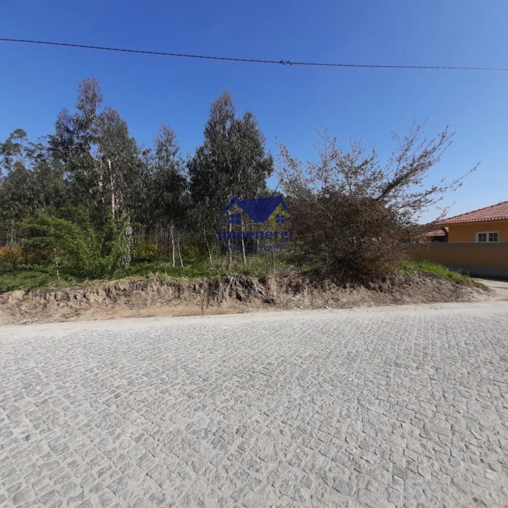 Terreno para Venda em Arvore Foto 7