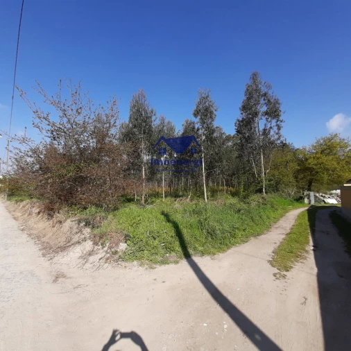 Terreno para Venda em Arvore Foto 5