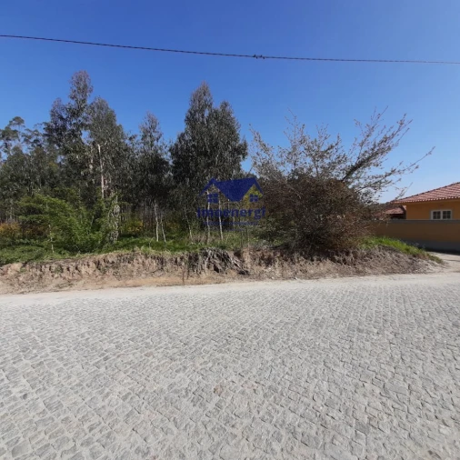 Terreno para Venda em Arvore Foto 7