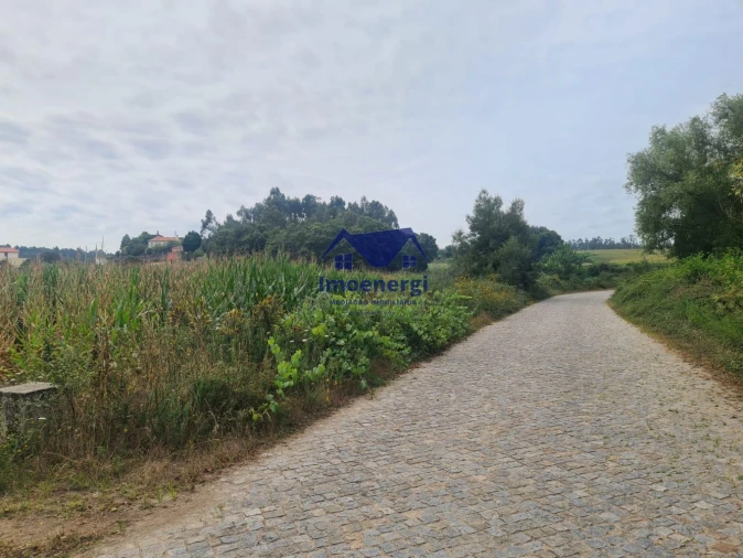Terreno Agricola ou Rústico para Venda em Retorta e Tougues Foto 3