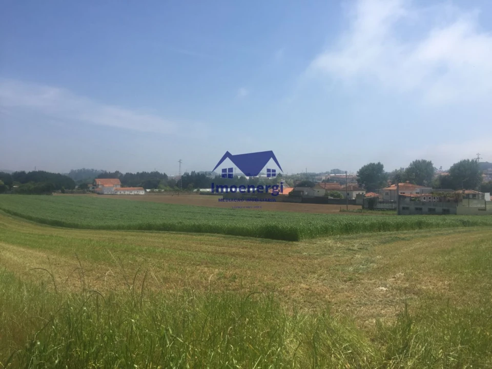 Terreno Agricola ou Rústico para Venda em Arvore Foto 1