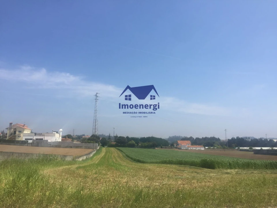 Terreno Agricola ou Rústico para Venda em Arvore Foto 11