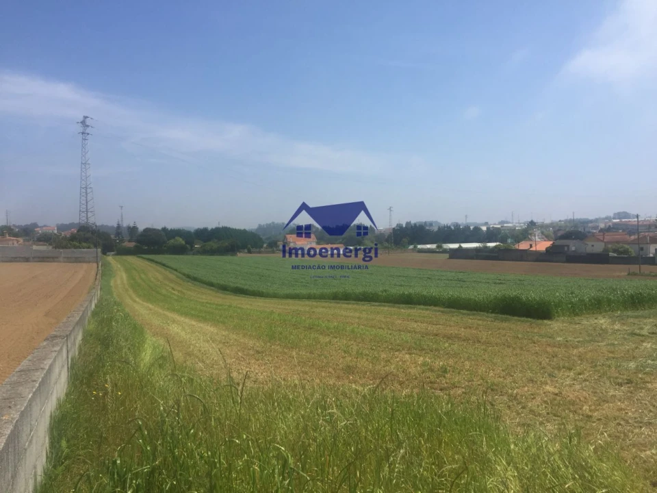 Terreno Agricola ou Rústico para Venda em Arvore Foto 2