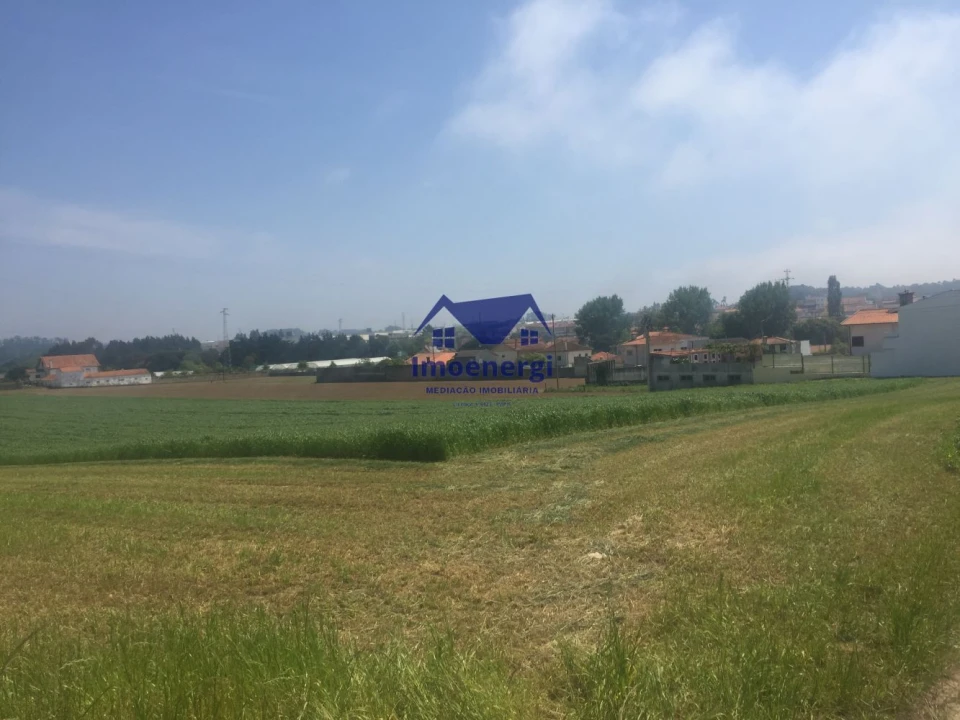 Terreno Agricola ou Rústico para Venda em Arvore Foto 3