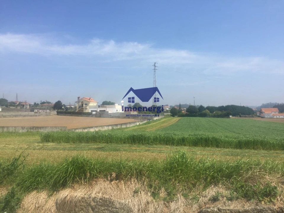 Terreno Agricola ou Rústico para Venda em Arvore Foto 6