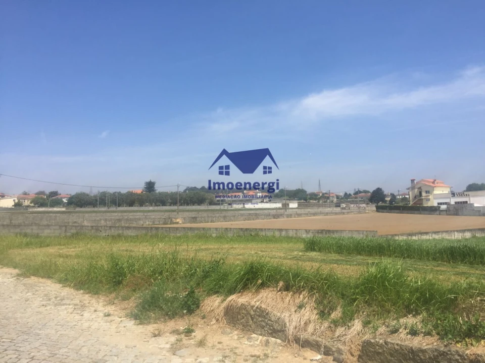 Terreno Agricola ou Rústico para Venda em Arvore Foto 8