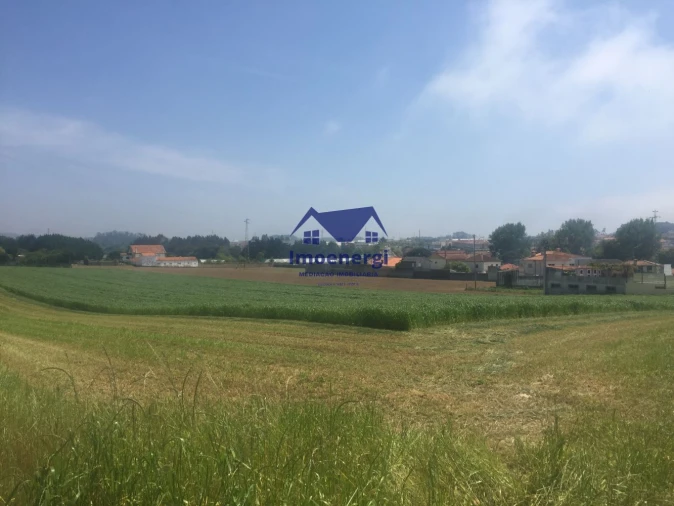 Terreno Agricola ou Rústico para Venda em Arvore