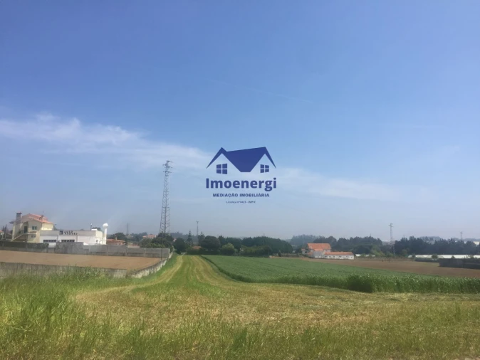 Terreno Agricola ou Rústico para Venda em Arvore Foto 11