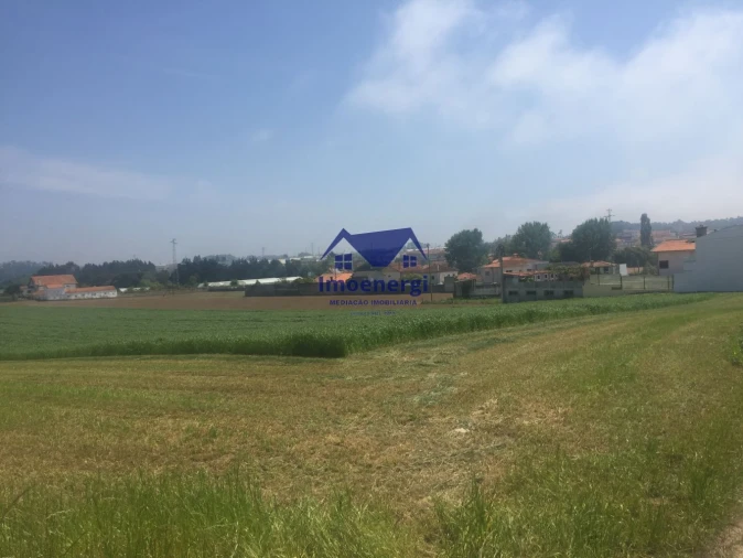 Terreno Agricola ou Rústico para Venda em Arvore Foto 3