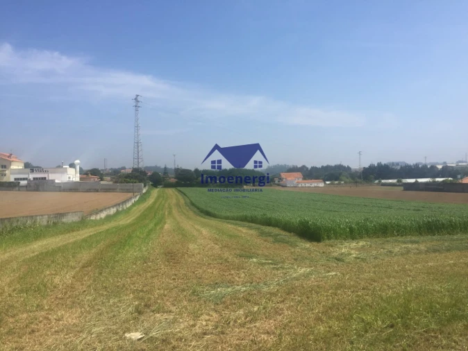 Terreno Agricola ou Rústico para Venda em Arvore Foto 5