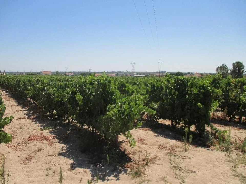 Moradia T3 para Venda em Poceirão e Marateca Foto 11