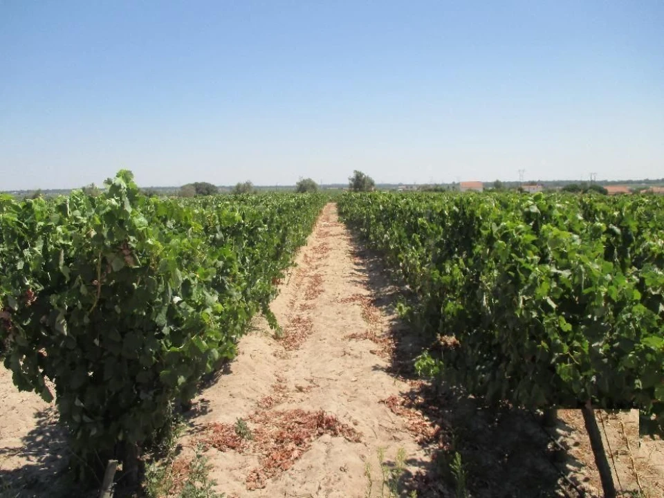 Moradia T3 para Venda em Poceirão e Marateca Foto 12