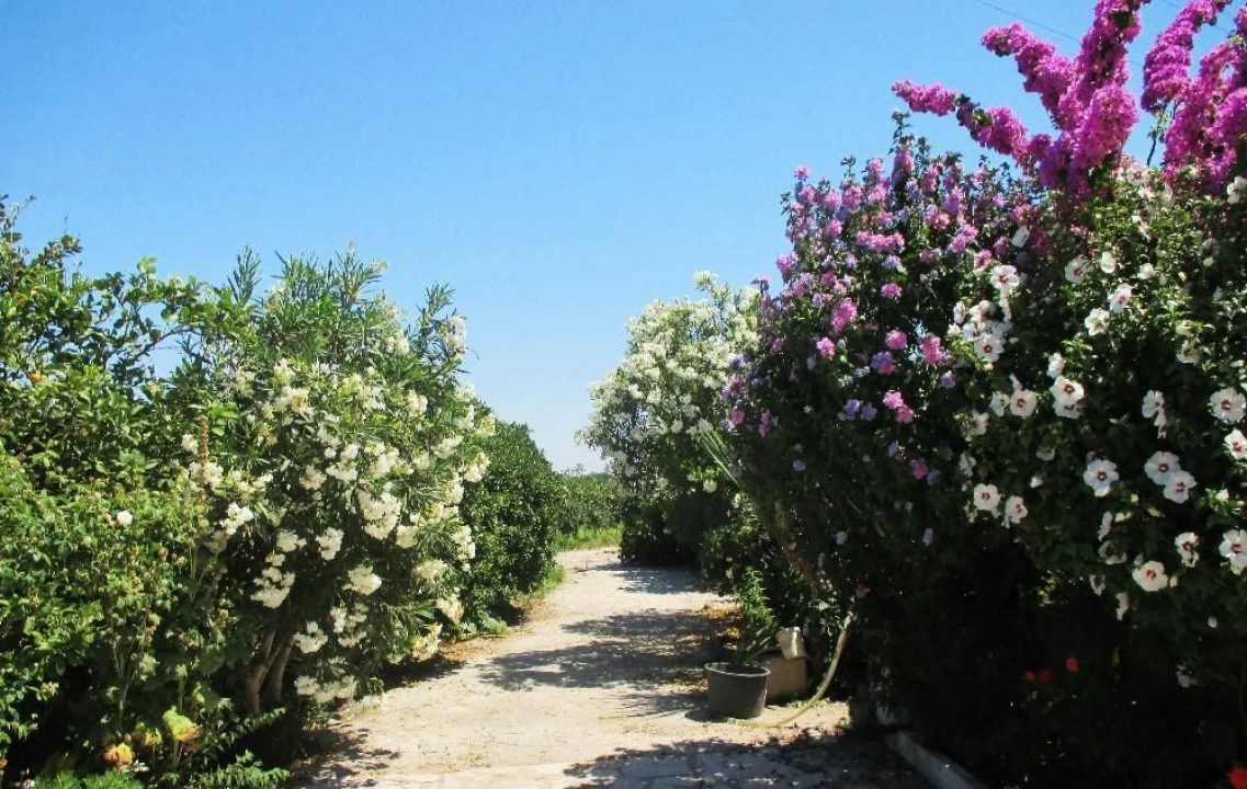 Moradia T3 para Venda em Poceirão e Marateca Foto 5