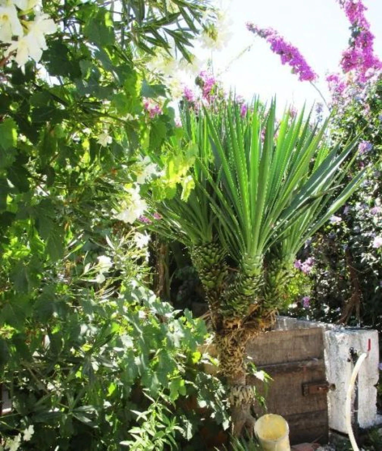 Moradia T3 para Venda em Poceirão e Marateca Foto 6