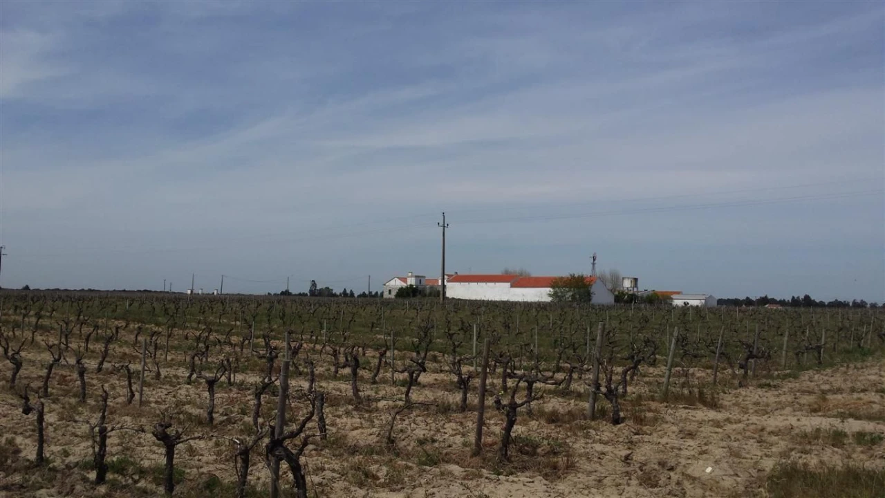 Moradia para Venda em Poceirão e Marateca Foto 1