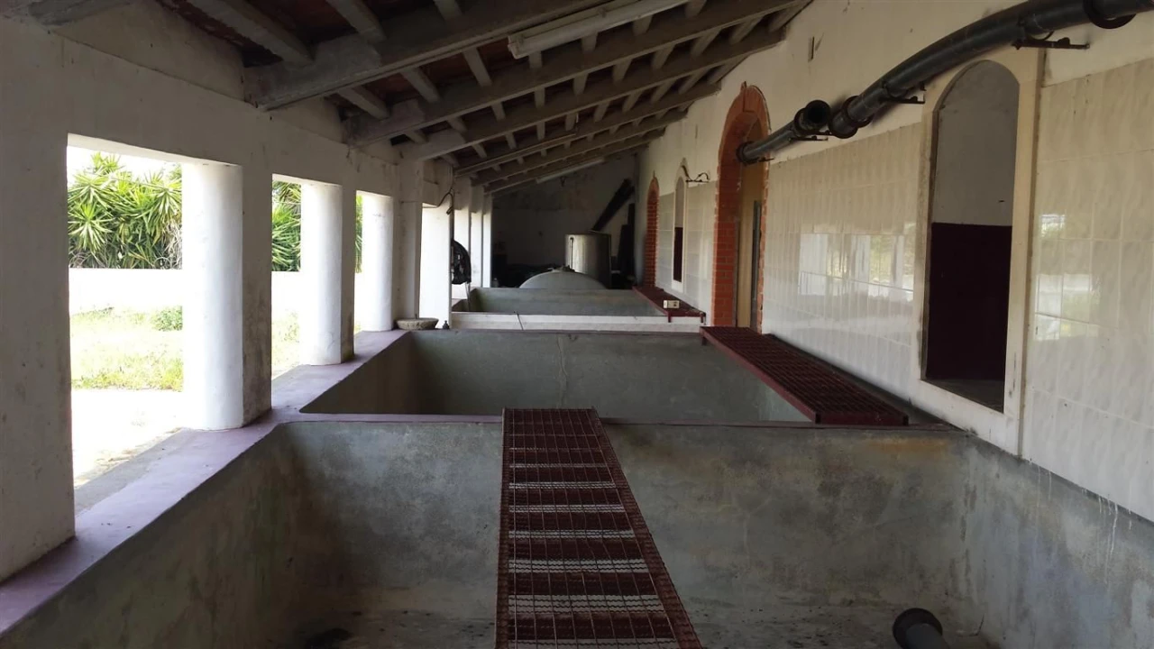 Moradia para Venda em Poceirão e Marateca Foto 19