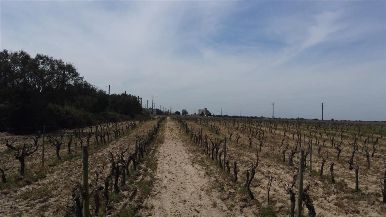 Moradia para Venda em Poceirão e Marateca Foto 3