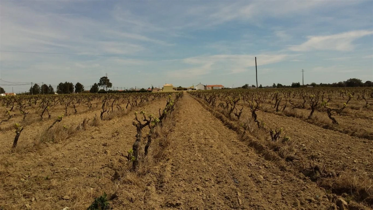 Moradia para Venda em Poceirão e Marateca Foto 5
