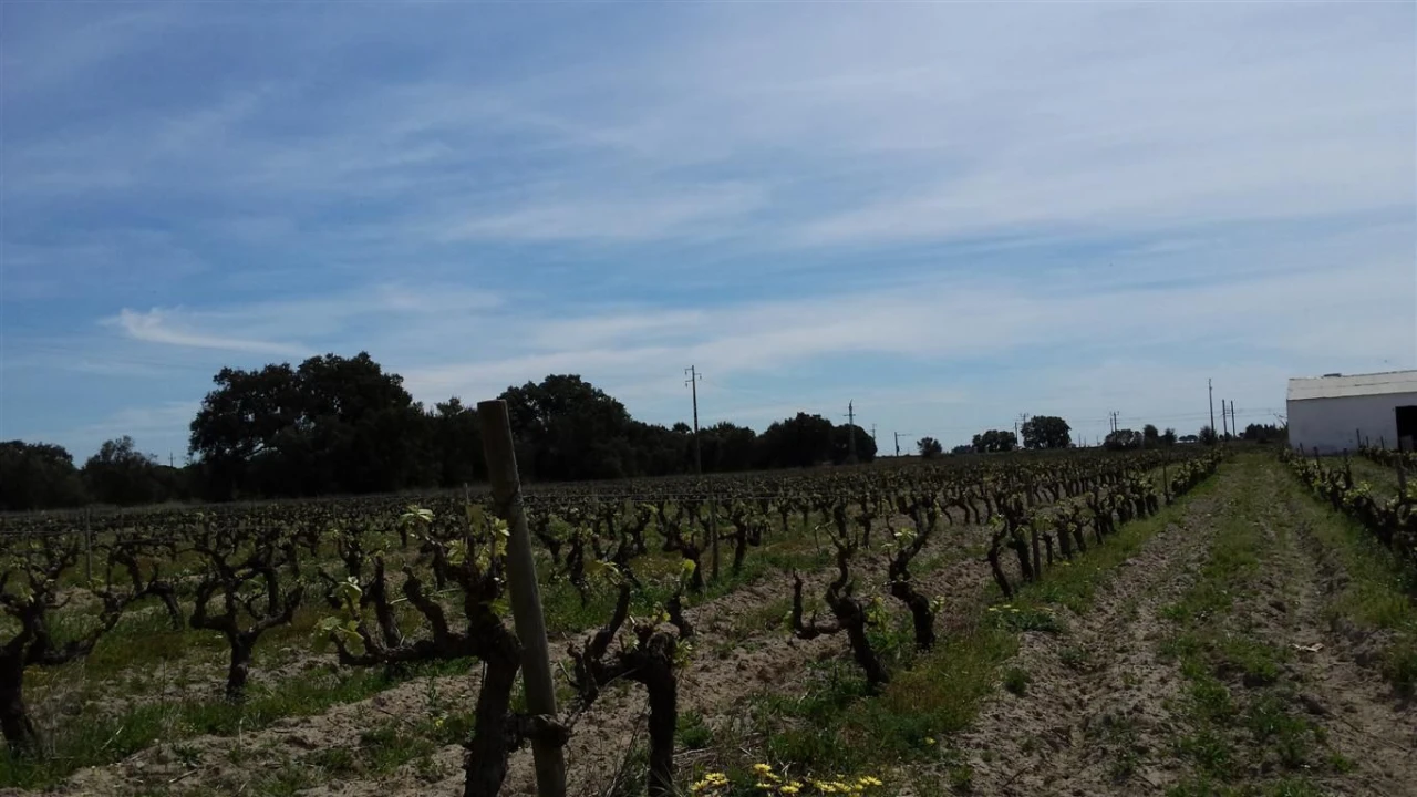 Moradia para Venda em Poceirão e Marateca Foto 7