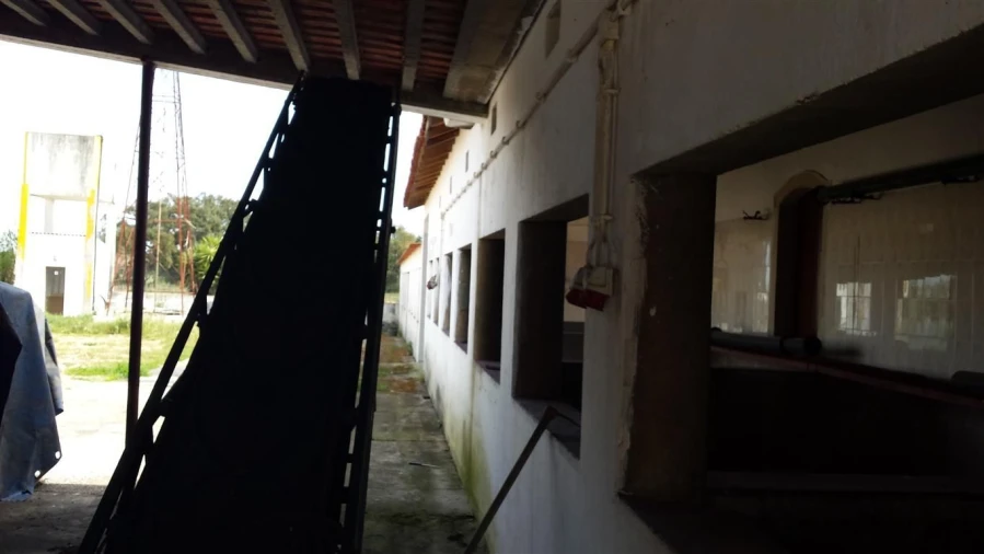 Moradia para Venda em Poceirão e Marateca Foto 18