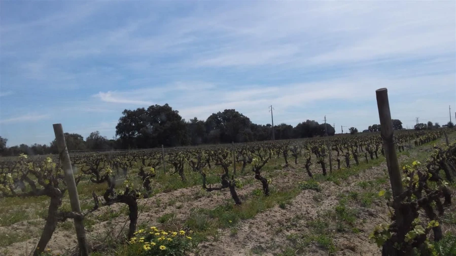 Moradia para Venda em Poceirão e Marateca Foto 2