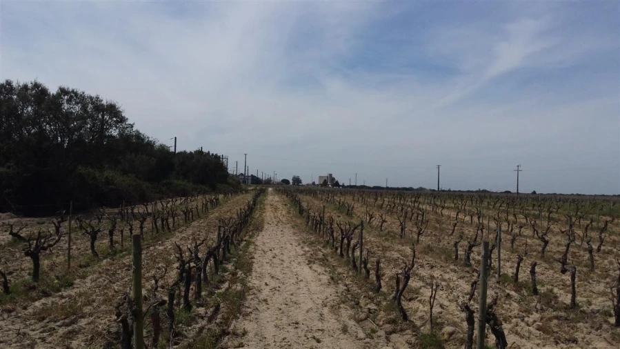 Moradia para Venda em Poceirão e Marateca Foto 3