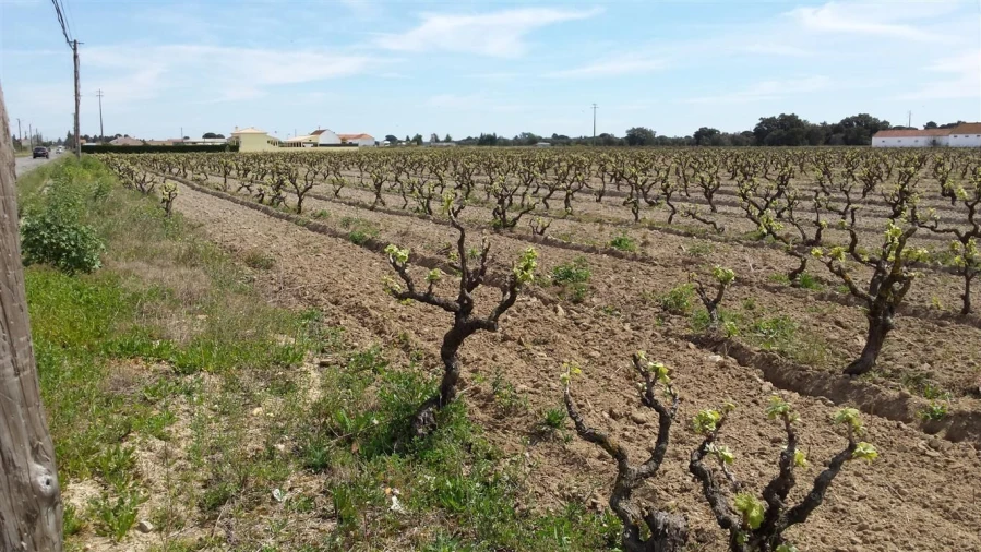 Moradia para Venda em Poceirão e Marateca Foto 4