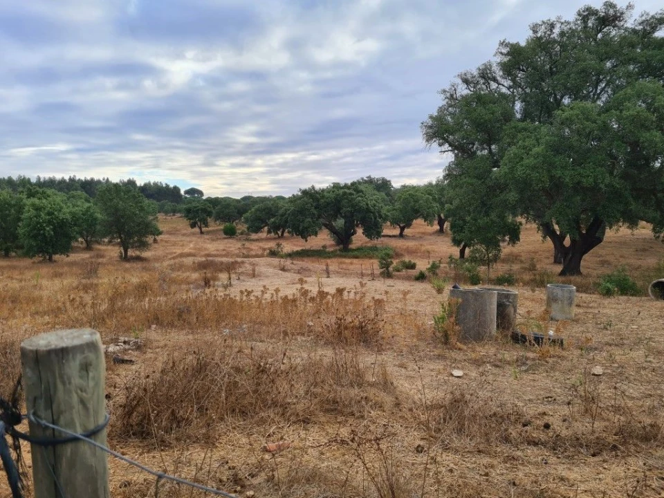 Terreno Agricola ou Rústico para Venda em Vendas Novas Foto 10