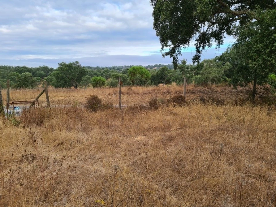 Terreno Agricola ou Rústico para Venda em Vendas Novas Foto 16