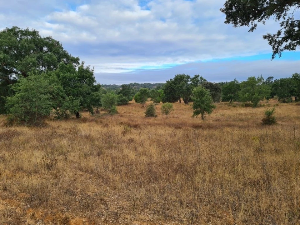 Terreno Agricola ou Rústico para Venda em Vendas Novas Foto 17