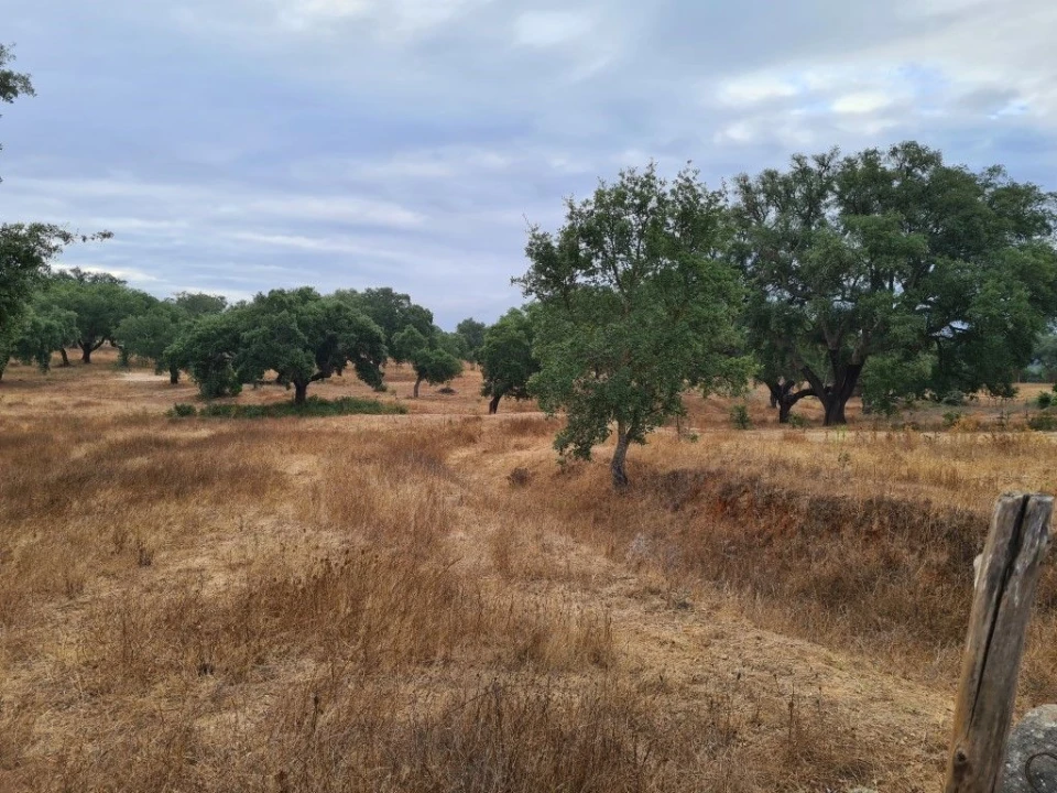 Terreno Agricola ou Rústico para Venda em Vendas Novas Foto 2