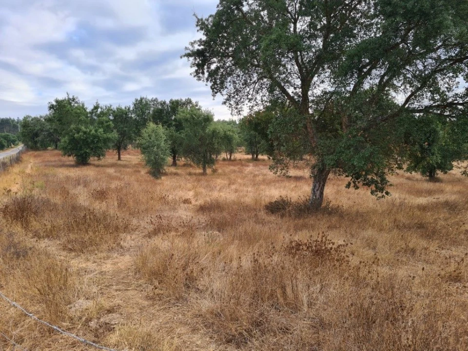 Terreno Agricola ou Rústico para Venda em Vendas Novas Foto 8