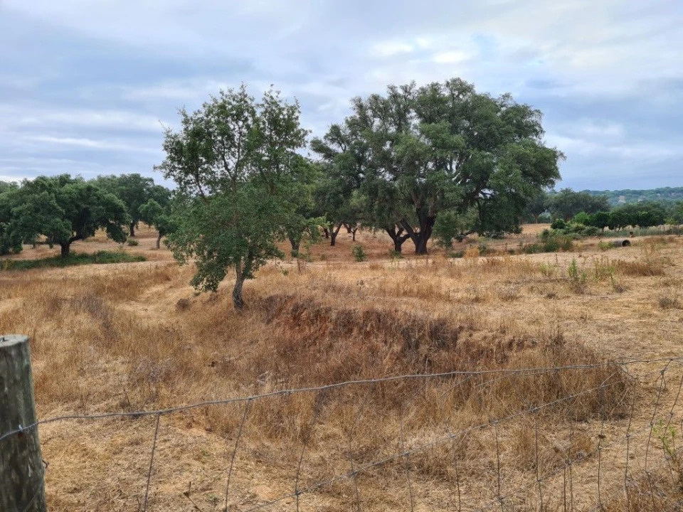 Terreno Agricola ou Rústico para Venda em Vendas Novas Foto 9