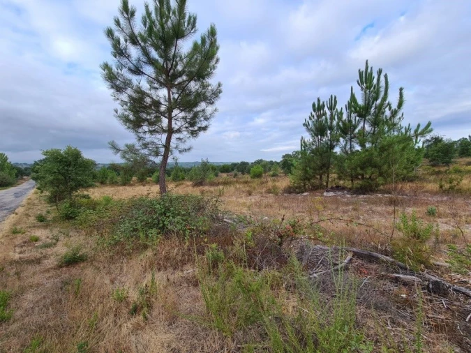 Terreno Agricola ou Rústico para Venda em Vendas Novas Foto 14