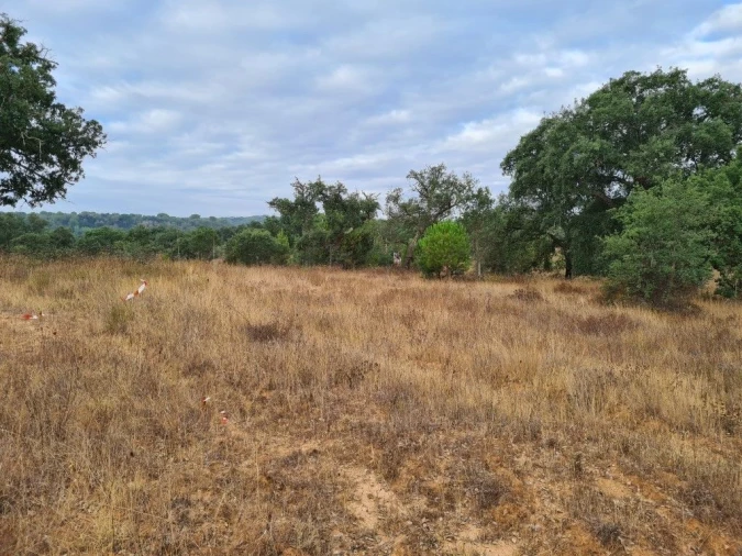 Terreno Agricola ou Rústico para Venda em Vendas Novas Foto 18