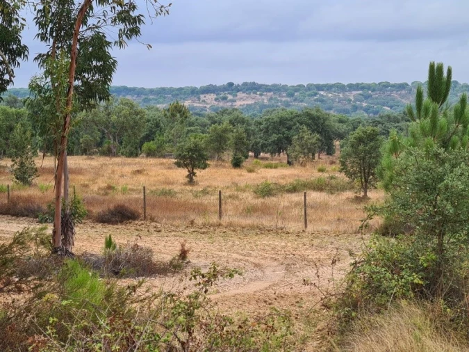 Terreno Agricola ou Rústico para Venda em Vendas Novas Foto 3