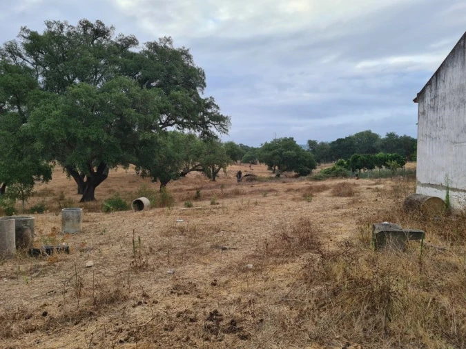 Terreno Agricola ou Rústico para Venda em Vendas Novas Foto 6