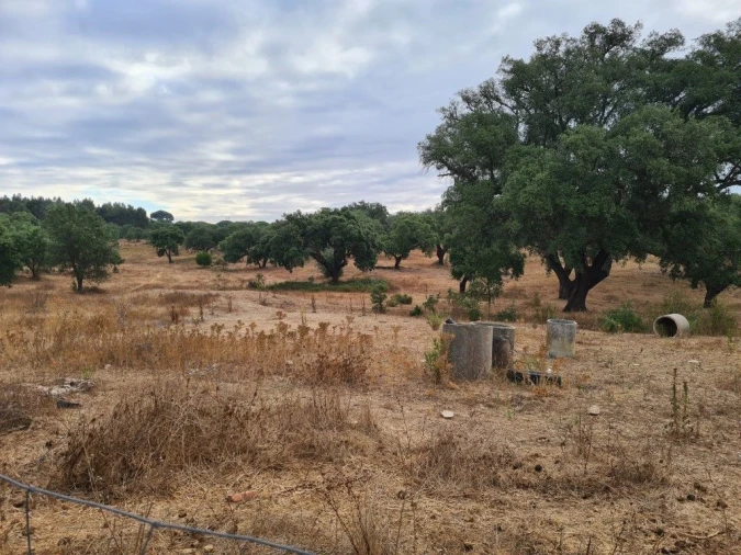 Terreno Agricola ou Rústico para Venda em Vendas Novas Foto 7