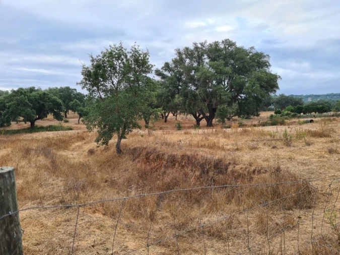 Terreno Agricola ou Rústico para Venda em Vendas Novas Foto 9