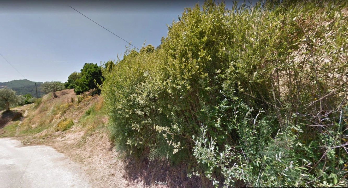 Terreno Agricola ou Rústico para Venda em Abaças Foto 2